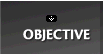 Objective